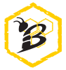 HIVE Digital Strategy
