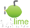 Sublime Computer Services