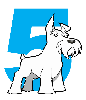 Five Dog Solutions