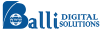 Balli Digital Solutions