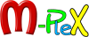 SEO Company in Delhi | M-pleX