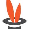 Alice Wonder Web Design Studio
