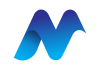 Noetic IT Services Pvt. Ltd.