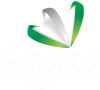 Ganizani Consulting