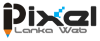 Pixel Lanka Web Developers