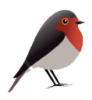 Robin GmbH