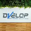 DVelop Software Solutions