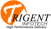 Trigent Infotech Pvt. Ltd.