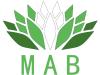 MAB Digital Marketing Agency
