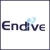 Endive Software