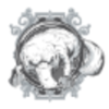 Platinum Platypus