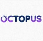 Octopus SEO Agency