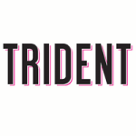 Trident Computer Services