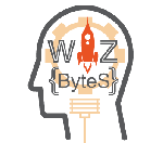 WIZBYTES TECHNOLOGY