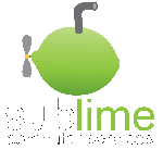 Sublime Computer Services
