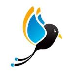 Capstone Design Group LLC