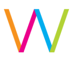 Web Design Auckland