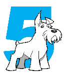 Five Dog Solutions