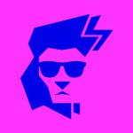 Pink Lions | Interface Design & Branding