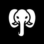Olifant Digital - Performance Marketing Agency