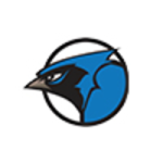 The Blue Cardinal Group