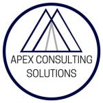 Apex Consulting Solutions