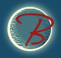 Brian's Web Design