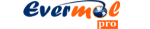 Evermore technology pvt Ltd