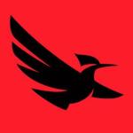 BlackWing Creative