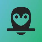 Tinkering Owl