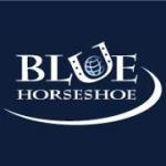 Blue Horseshoe Solutions