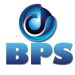 BPS IT & Web Services Pvt.  Ltd.