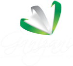 Ganizani Consulting