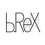 b.ReX GmbH