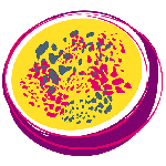 Passionfruit Creative