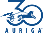 Auriga, Inc.