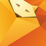 Flyfox Web Studio