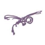 Dragonfly Digital Video Services