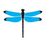 Dragonfly Digital Marketing