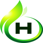HABIB IT SOLUTIONS PRIVATE LIMITED