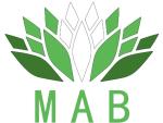 MAB Digital Marketing Agency