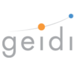 Geidi IT Services