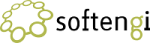 Softengi