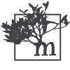Mangrove Web Development
