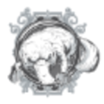 Platinum Platypus