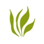 Ace creative webtech Pvt Ltd