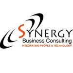 Synergy Business Consulting