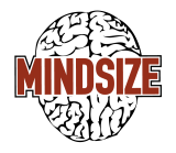Mindsize