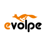 eVolpe Consulting Group