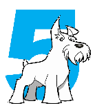 Five Dog Solutions